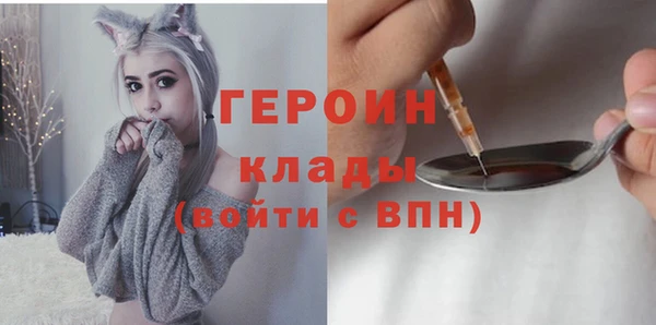 индика Бронницы