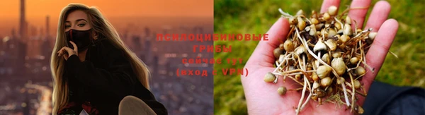 не бодяженный Лиски