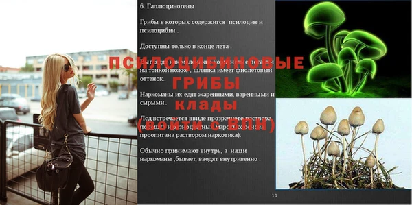 COCAINE Лабытнанги