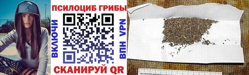 Галлюциногенные грибы Cubensis  Вышний Волочёк 